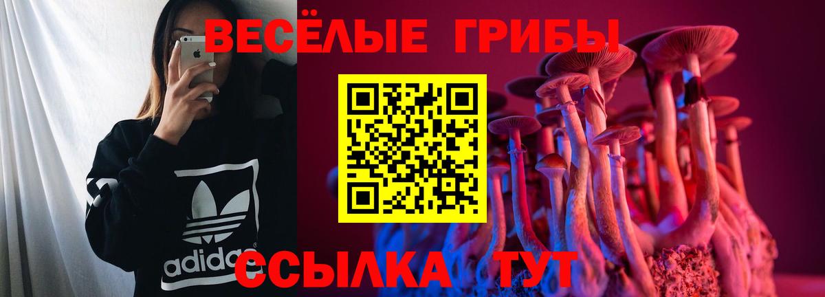 Псилоцибиновые грибы прущие грибы Красноуфимск
